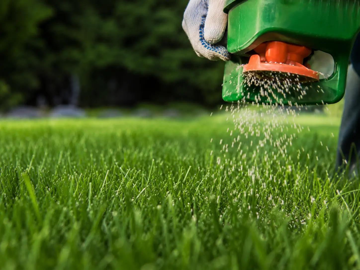 Lawn Fertilization
